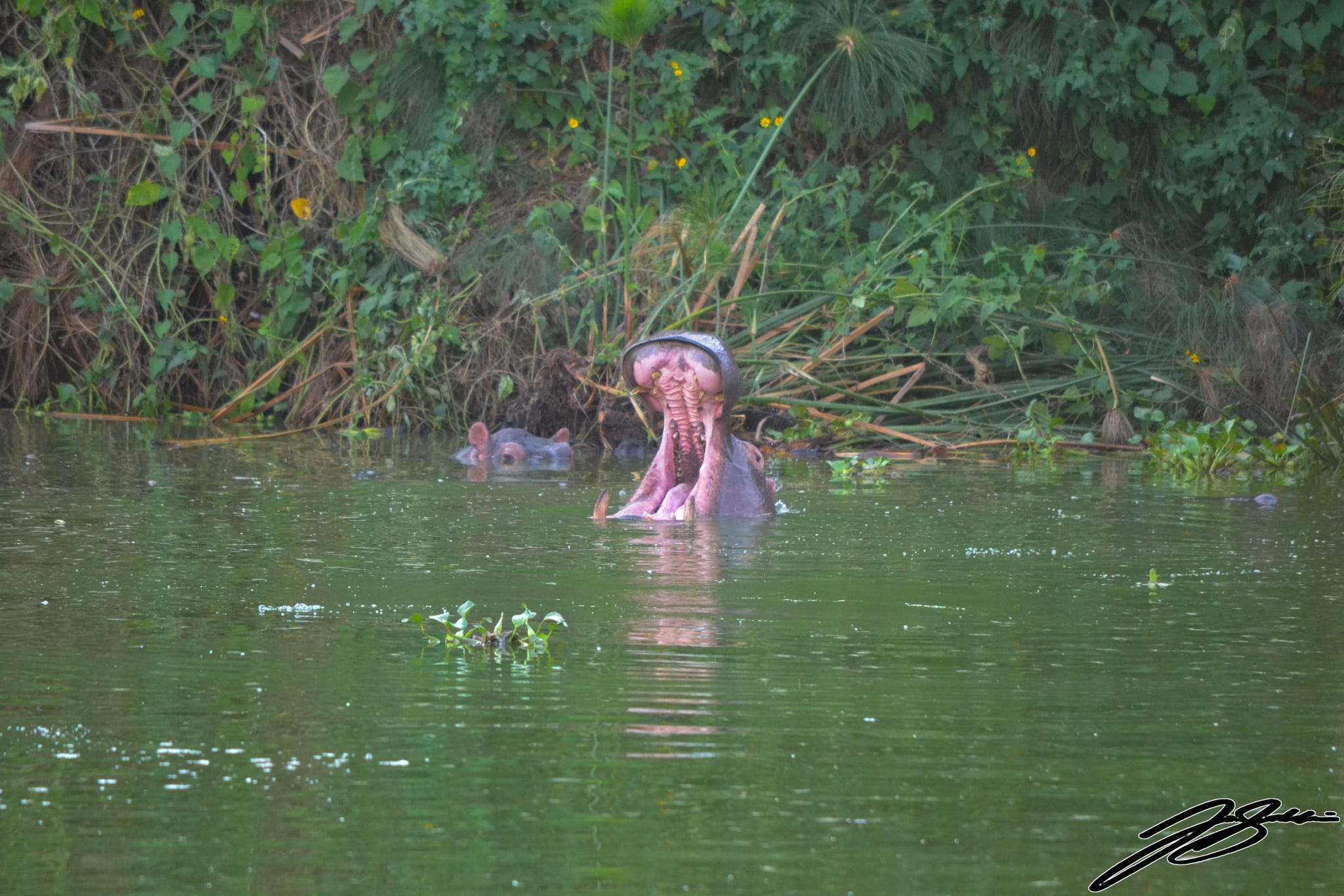Kazinga Channel